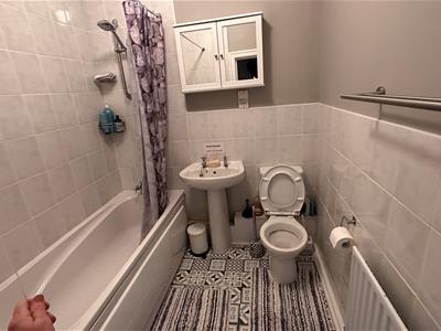 Picture 9